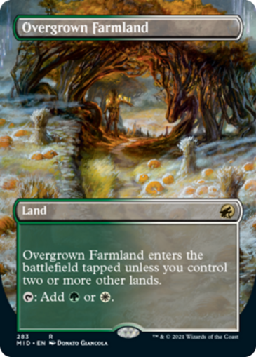 Overgrown Farmland (Borderless)