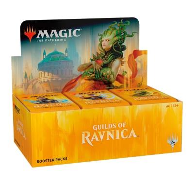 Guilds of Ravnica Boosterdisplay (engl.)