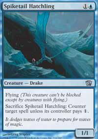 Spiketail Hatchling