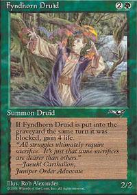 Fyndhorn Druid