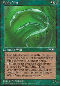 Whip Vine