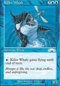 Killer Whale
