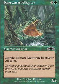 Rootwater Alligator