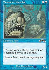 School of Piranha