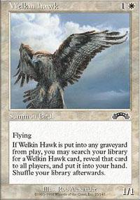 Welkin Hawk