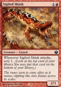 Sigiled Skink