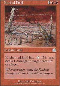 Barbed Field