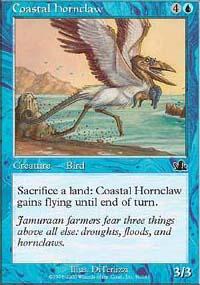 Coastal Hornclaw