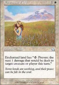 Flowering Field