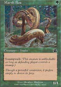 Marsh Boa