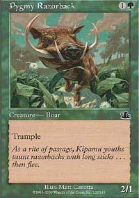 Pygmy Razorback