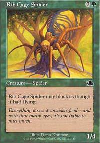 Rib Cage Spider
