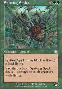 Spitting Spider