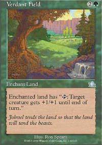 Verdant Field