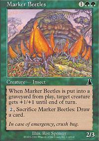 Marker Beetles
