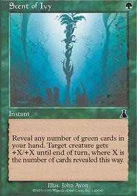 Scent of Ivy