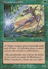 Weatherseed Elf