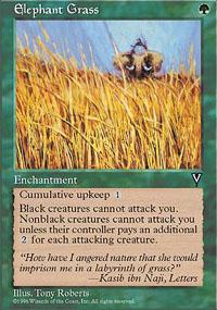 Elephant Grass