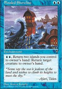 Flooded Shoreline